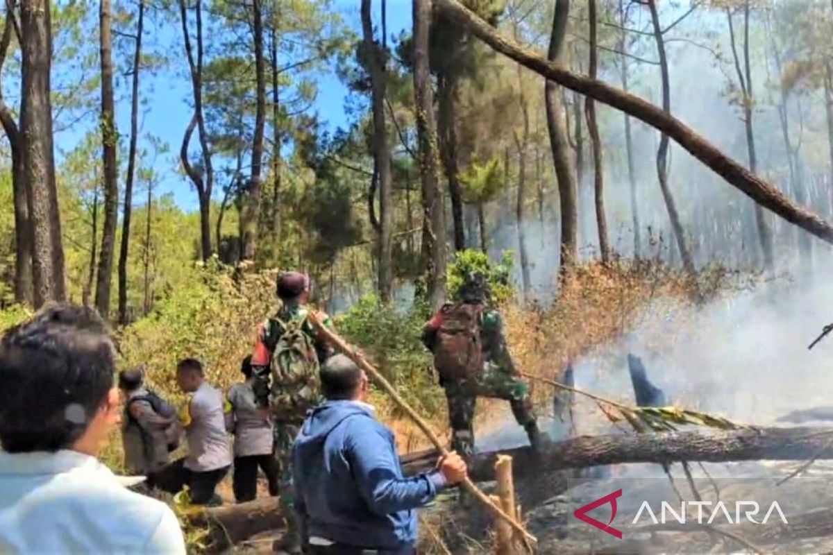Joint Task Force Struggles to Extinguish Forest Fires on Mount Lawu Slopes in Magetan