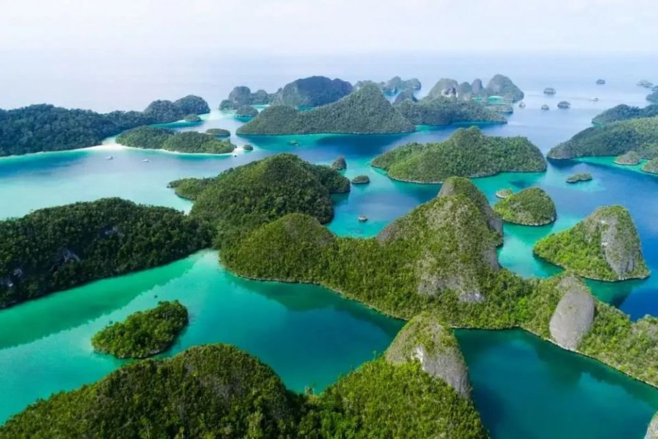 PTUN Rejects BKPM Objection; Greenpeace Urges Disclosure of Raja Ampat Mining Permit Revocation Decree