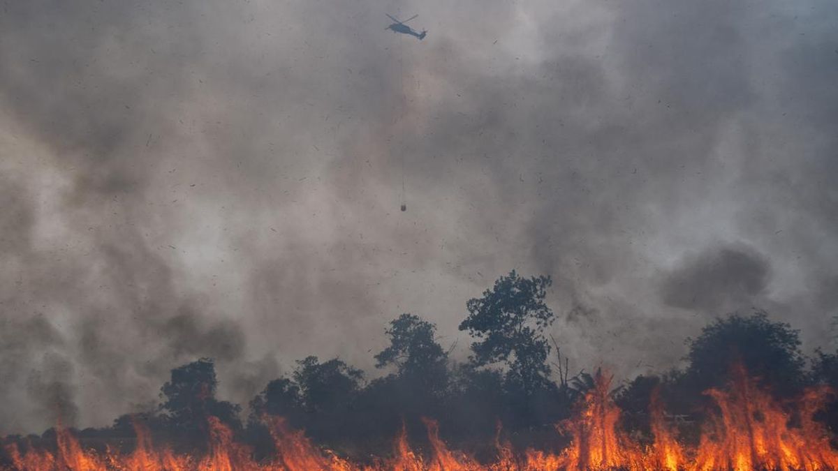 Haze Envelops 20 Regions in North Sumatra, Visibility Drops to 1 Kilometre