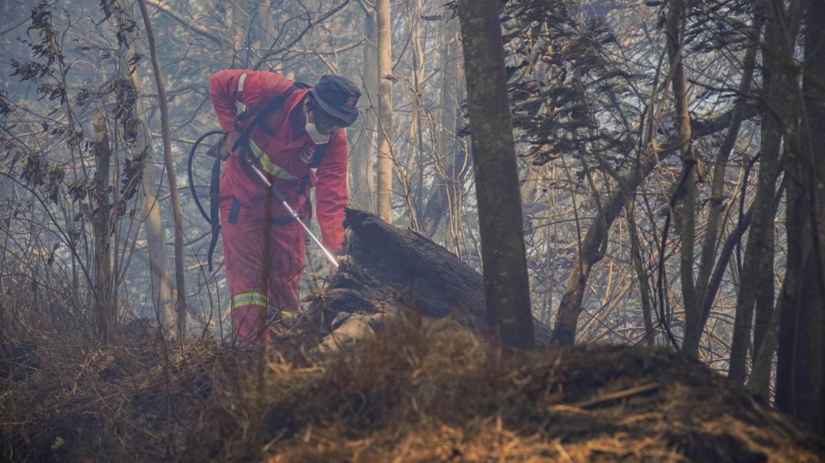 Forest Fires Encircle Four Mountains in East Java: Bromo, Semeru, Argopuro, and Butak