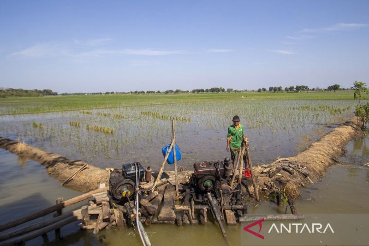 Economist: Mapping Water Sources Can Optimise Pumping Efforts