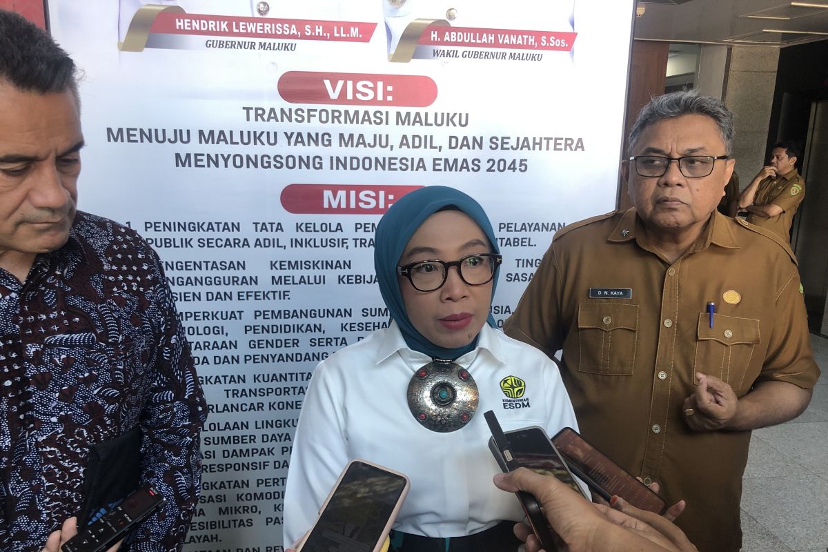 Indonesia, New Zealand expand renewable energy program in Maluku