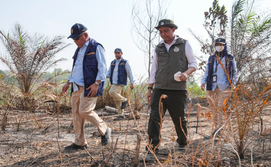 Three Companies in East Kalimantan Sanctioned Over Forest Fires