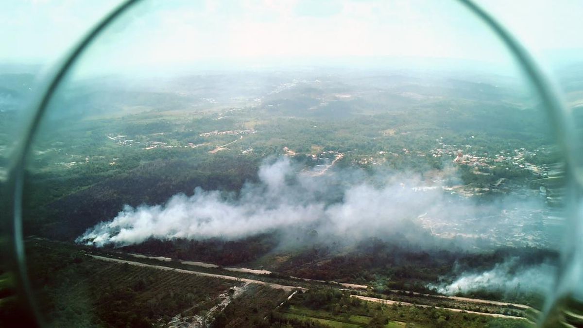 Smoke from Forest Fires Reappears in Nusantara Capital Region