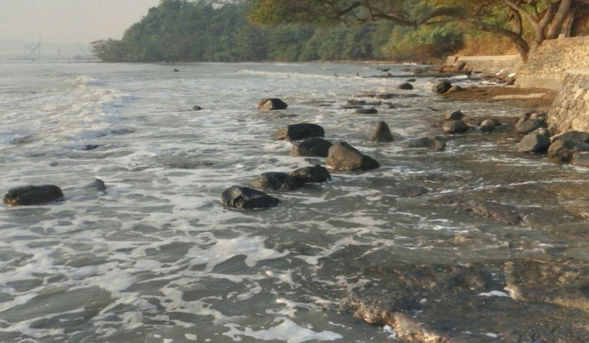 Central Java Weather Today, 15 September 2026: Pantura Temperatures Hit 36 Degrees, High Waves Warned