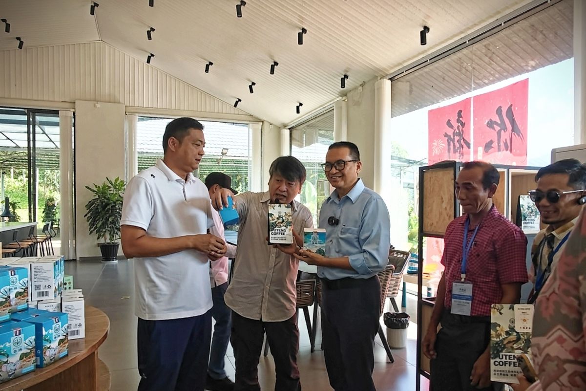 Indonesian village heads study coffee processing in Yunnan