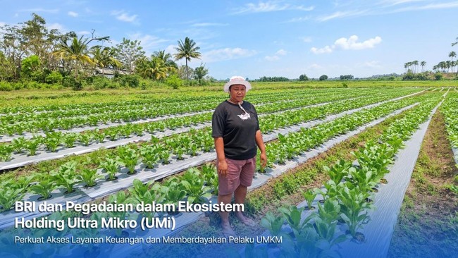 Ultra Micro Holding Helps Mur Dwi Astuti Succeed as a Farmer in Merauke