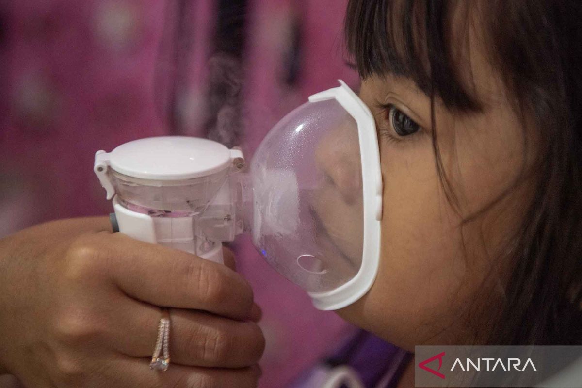 Acute respiratory infection cases rise in Palembang due to exposure to forest and land fire haze