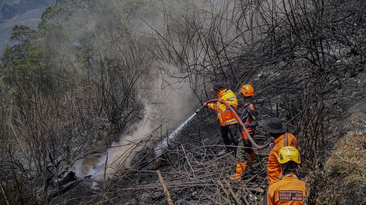 Forest Fires Engulf Five Mountains in East Java, 1,488 Hectares Scorched