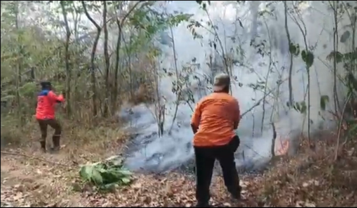 Majalengka Firefighters Find Resident's Body While Extinguishing Land Blaze