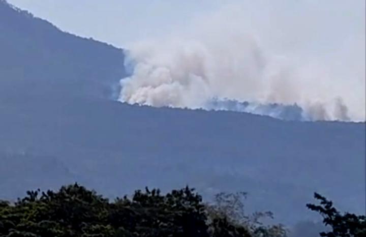 Mount Lawu Hiking Trails Shut as Forest Fire Expands