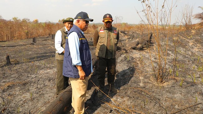 IKN on High Alert! Fires Burning Across 319 Hectares of Land Not Yet Extinguished