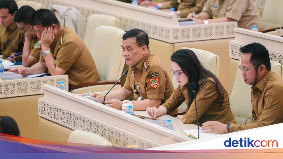 Safeguarding Food Security, Central Java Governor Tightens Paddy Field Protection