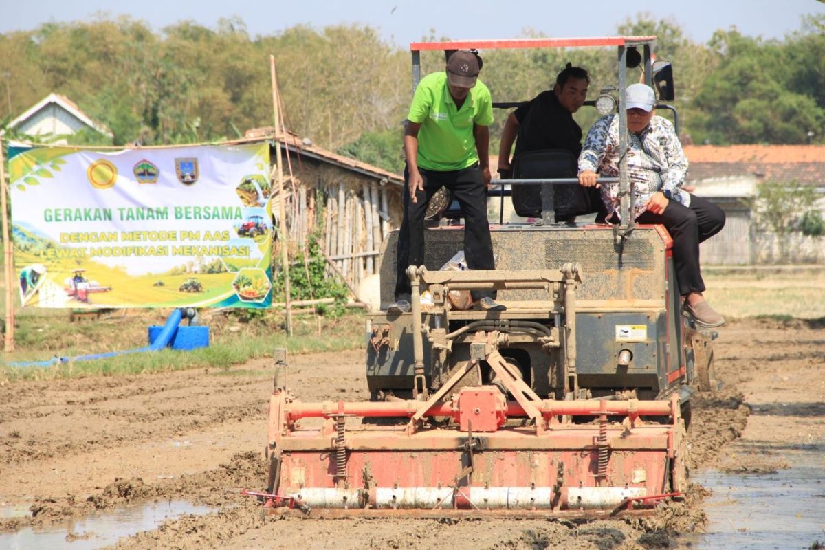 Rembang adopts PM-AAS planting method to boost rice productivity