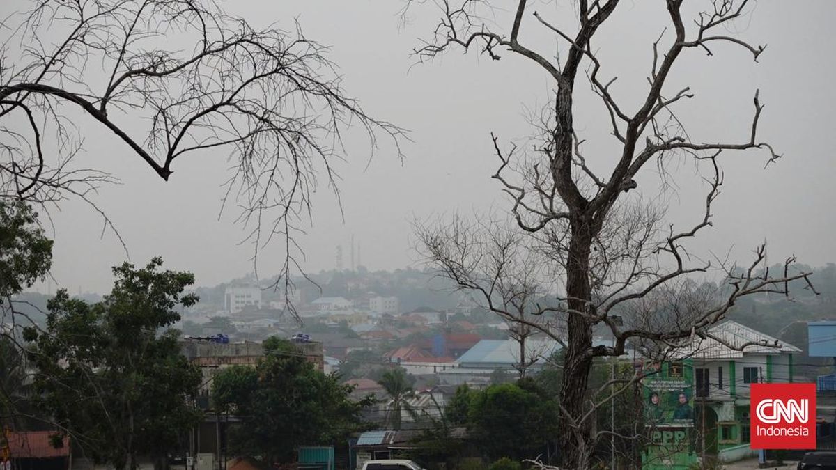 Walhi: Acute Respiratory Infections Rife in Kalimantan, Government Masks Fail to Meet Standards