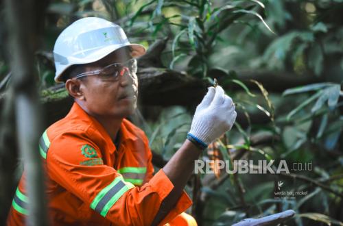 Biodiversity Monitoring Expanded Amid Nickel Mining Activity in Halmahera