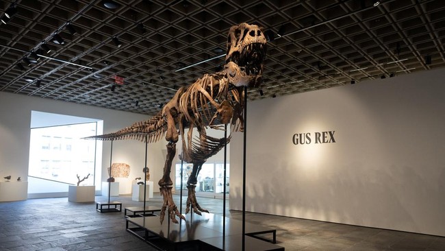 Scientists Stunned to Find Bird Feathers in Dinosaur Droppings