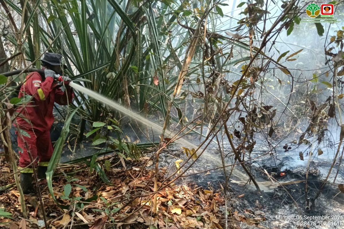BMKG detects 4,028 hotspots across Sumatra