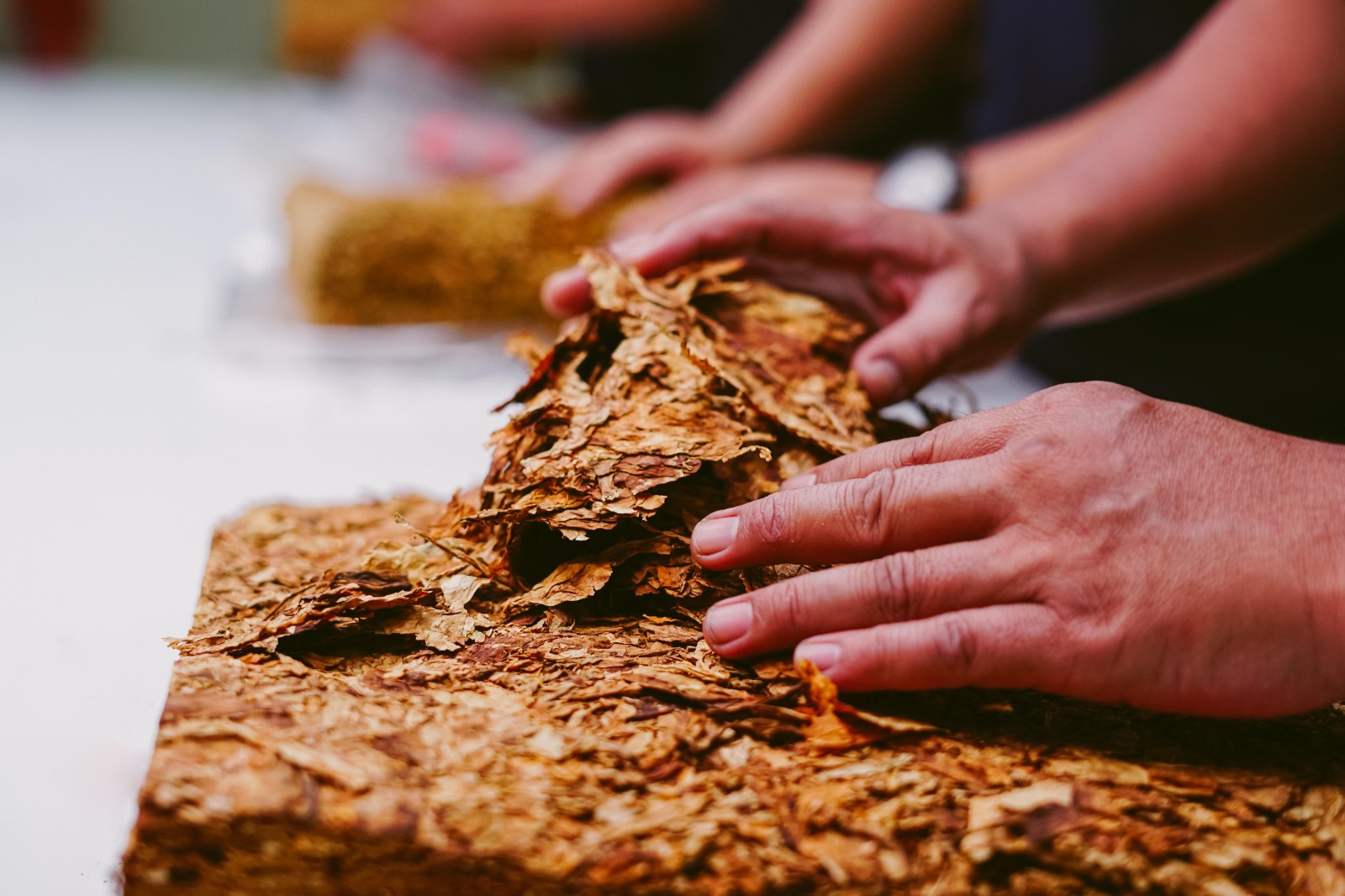 Research Reveals Consumer Responses to Changes in Tobacco Products