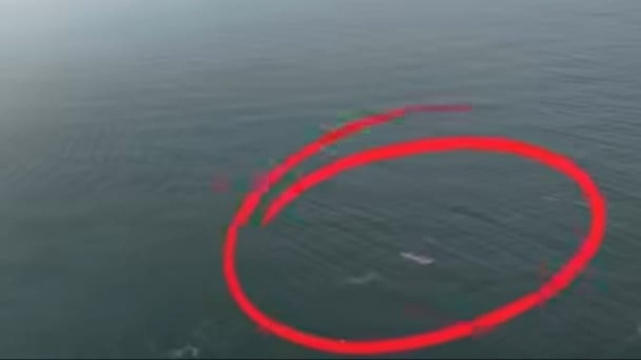 Mysterious Object Captured by Drone Near Anak Krakatau: A Clue to the Missing Journalists?