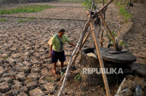 Wells Run Dry During Drought: Is It Permissible to Take Water from Mosques for Personal Use?