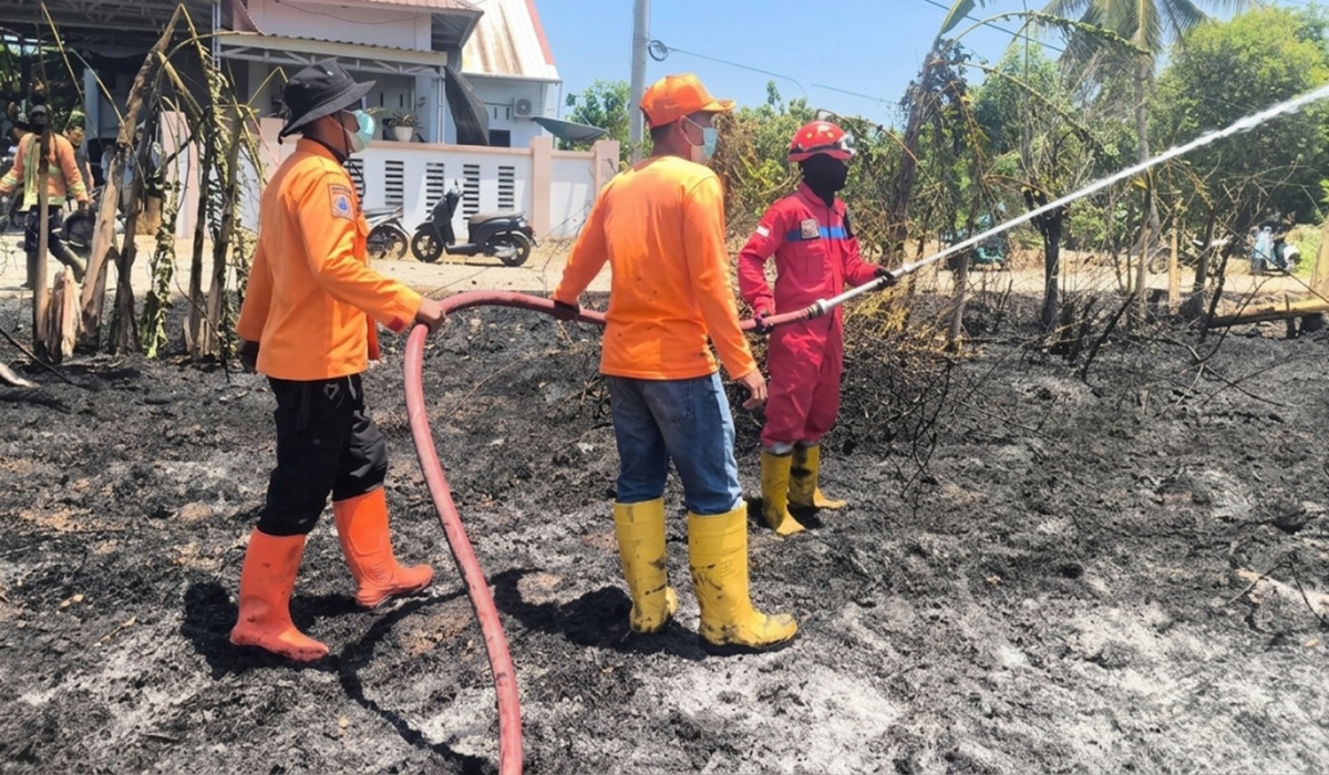 Officer Dies in Pinrang While Fighting Forest Fires
