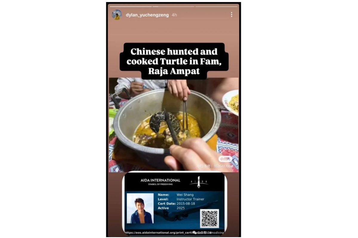 Social Media User Denies Involvement in Turtle Poaching Case Alongside Foreign National