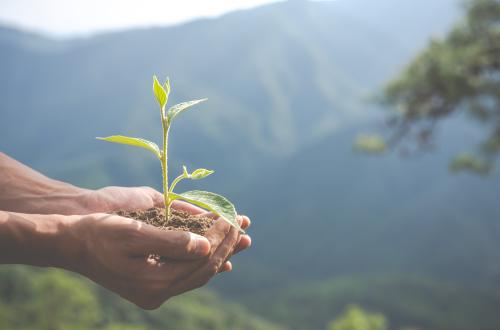Climate Risk Assessment Called a Strategic Navigation Tool to Win Global Competition