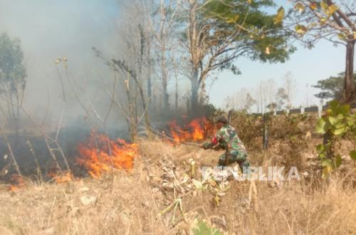 Forest Fire Destroys Five Hectares in Cikawung, Indramayu
