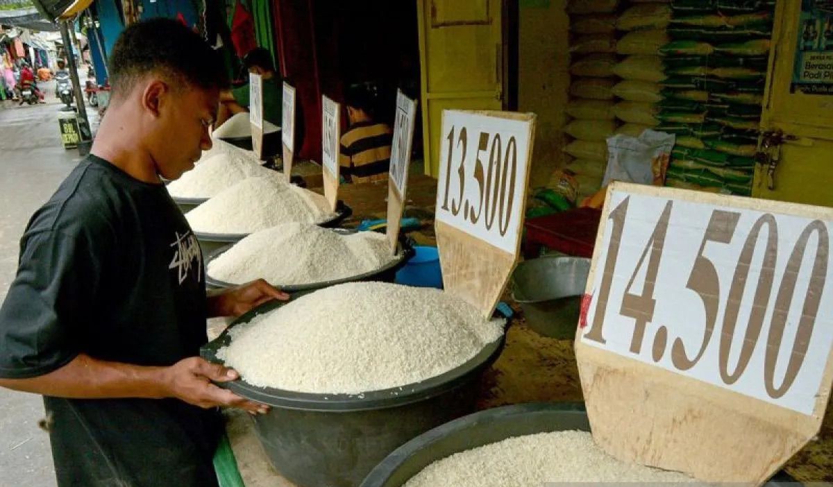 YLKI Highlights Alleged Nutritional Discrepancies in Fortified Rice, Urges Investigation