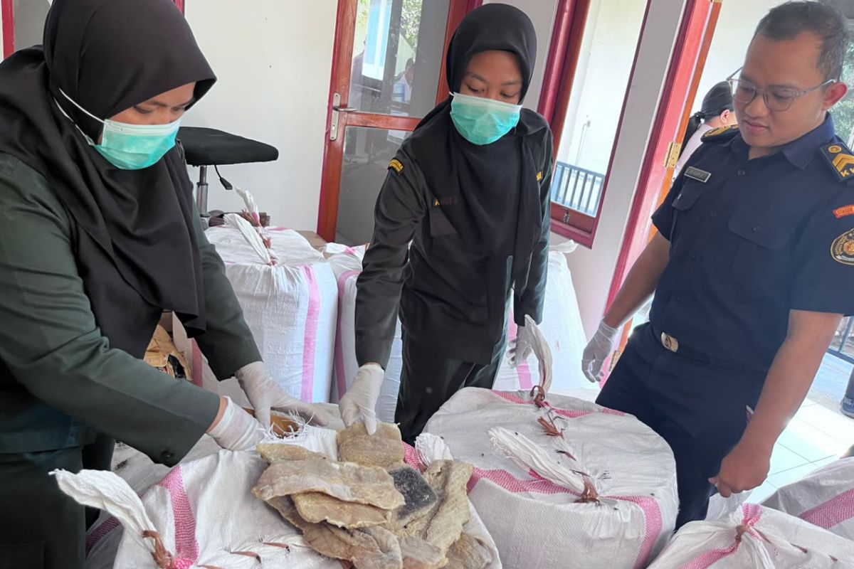NTT Quarantine Authorities Seize 1.23 Tonnes of Shark Meat Lacking Certification