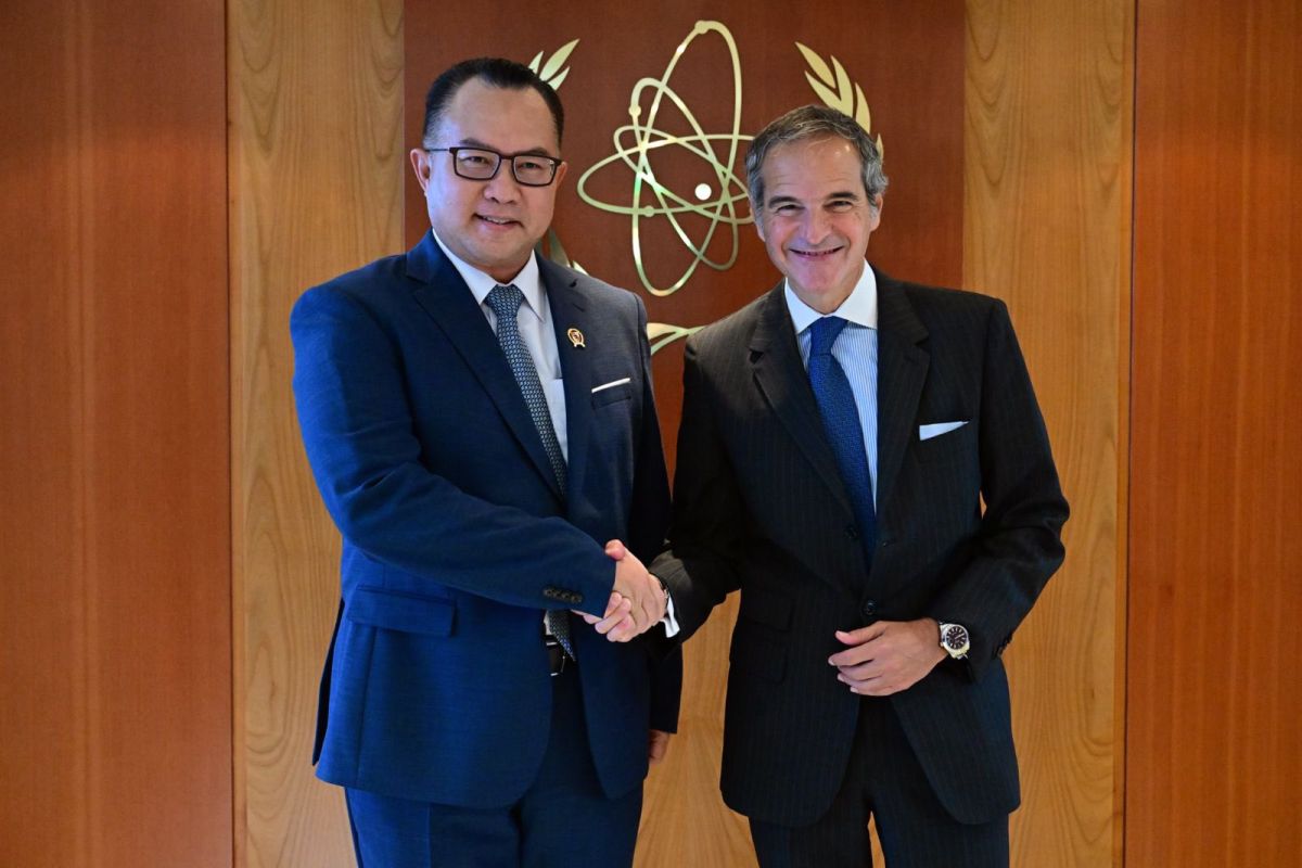 IAEA says Indonesia accelerating its nuclear energy development