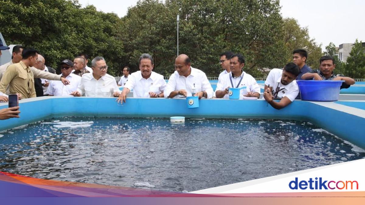 Targeting 40,000 Thematic Fish Farming Sites, Zulhas: Must Ensure Upstream-Downstream Integration