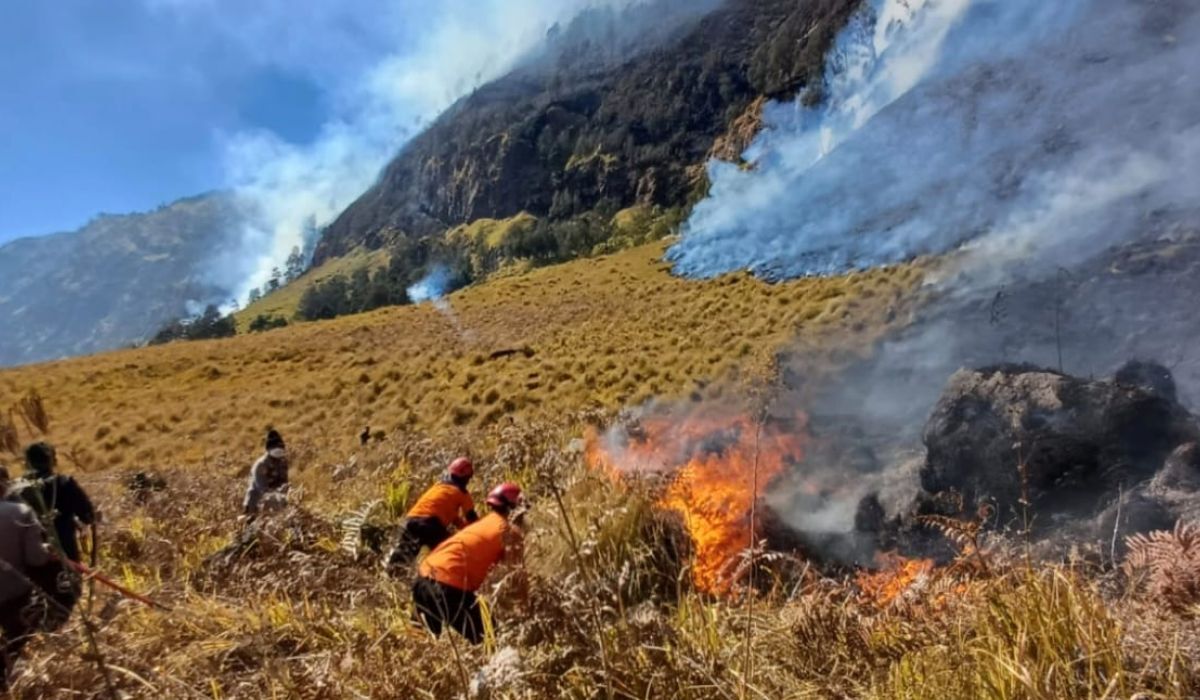 2026 Dry Season: 14 Mountains in East Java Burn, Bromo and Argopuro Worst Hit