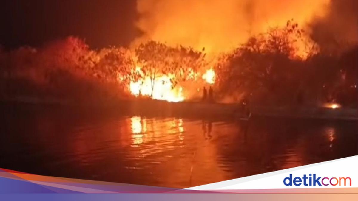 Large Fire Breaks Out in Vacant Land Near Mall 23 Semarang