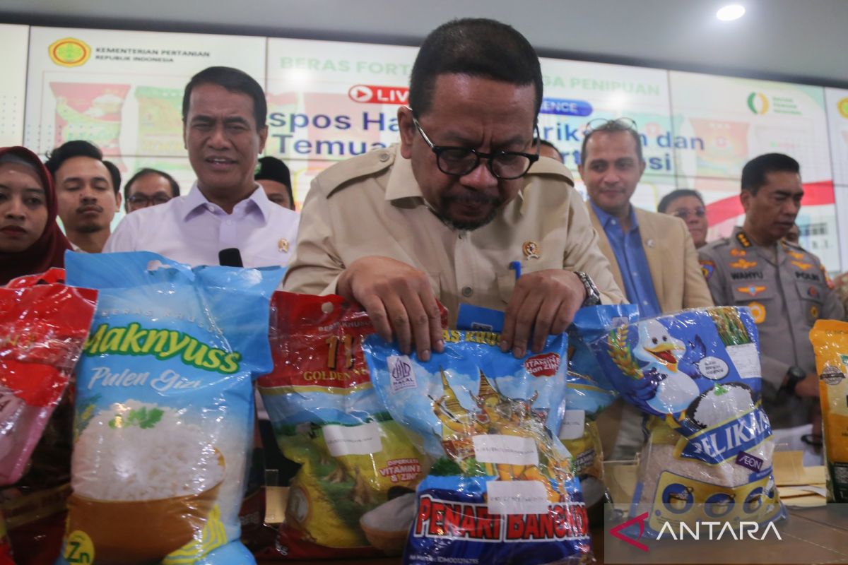 Yesterday's Highlights: From Business Permit Freezes due to Forest Fires to the MagangHub Programme