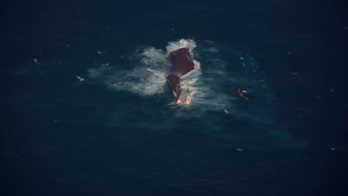 Basarnas Prepares Salvage Operation: The Reason Behind Flipping the KM Virgo 8 Hull