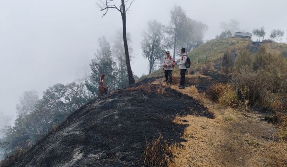 Forest Fires in Mount Butak and Mount Kawi Spread to Blitar Regency