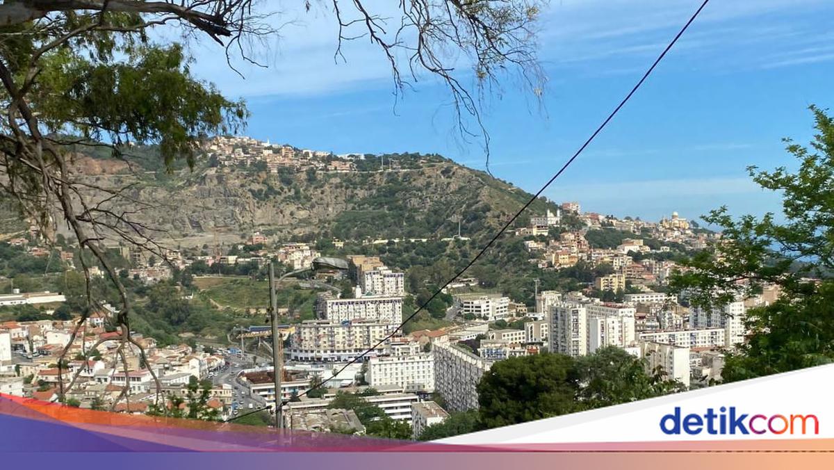 Reading the Fractures in Algeria-UAE Relations