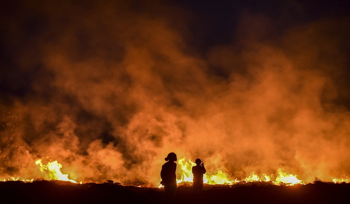 Prabowo Subianto Pushes for Forest Fires to be Categorised as Ecological Terrorism