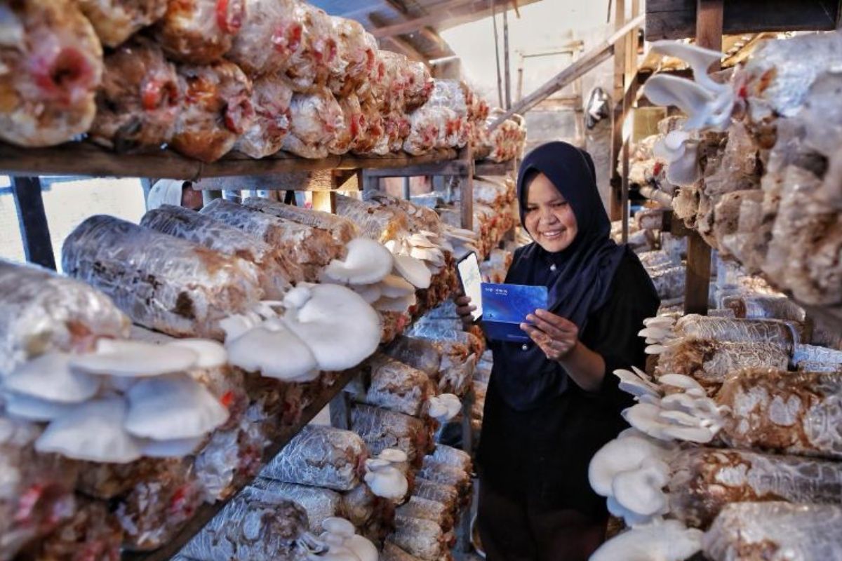BRI: MSME business prospects for Q3 remain positive