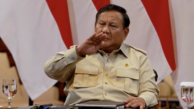 Regional Funds Cut: Prabowo Exposes Issues with Regional Budgets and Political Costs