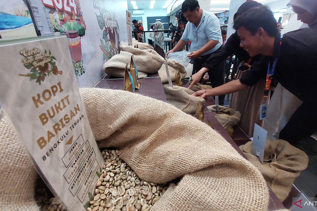 Bengkulu Coffee SMEs Aiming for Global Markets