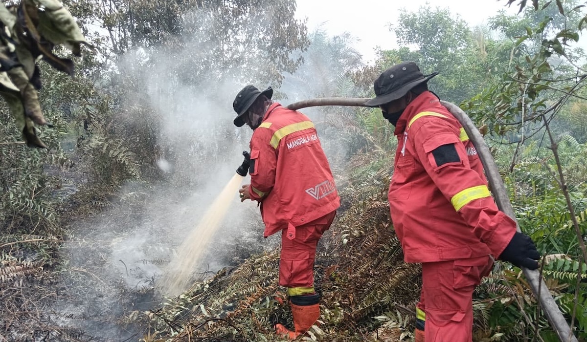 Prabowo Instructs Severe Sanctions for Forest and Land Fires