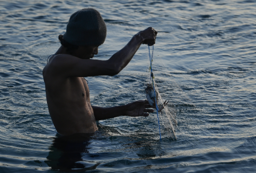 Welcoming Single-Window Export System for Crabs, North Kalimantan Fishermen Urge Crackdown on Tarakan Smuggling Routes