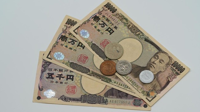Japanese Corporate Leaders Issue Warnings: What is Happening?