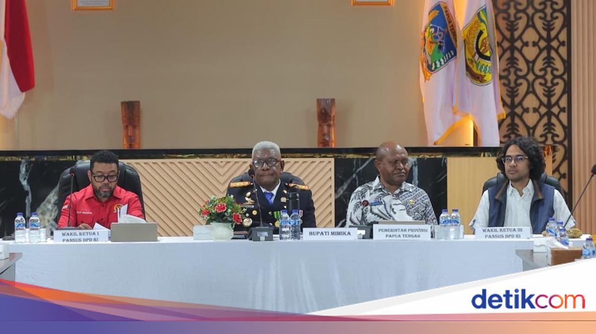DPD Papua Special Committee Emphasises Comprehensive Approach to Resolve Conflict