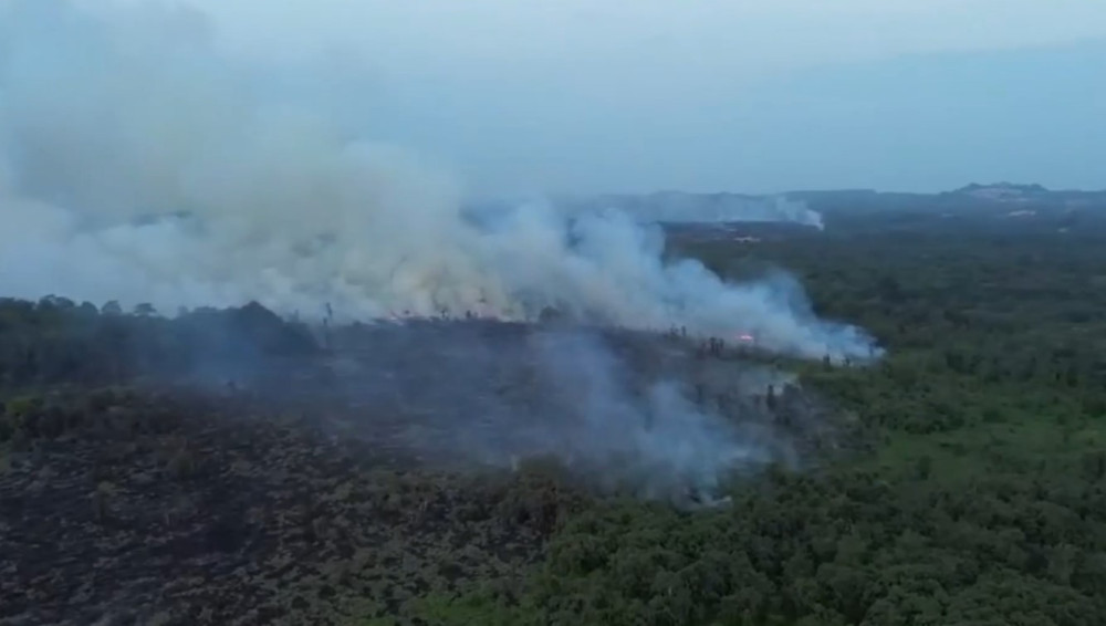 Foreign Ministry has yet to receive protest notes from neighbouring countries regarding forest fires