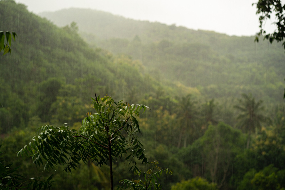 BMKG Weather Forecast Friday, 18 September 2026: North Sumatra and West ...