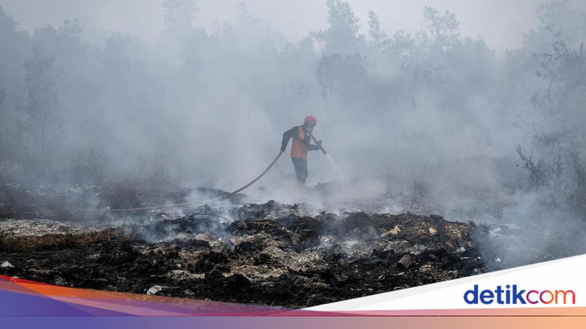 Sahroni Supports Classifying Forest Fires as Ecological Terrorism: An Extraordinary Crime